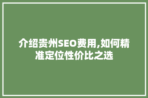 介绍贵州SEO费用,如何精准定位性价比之选