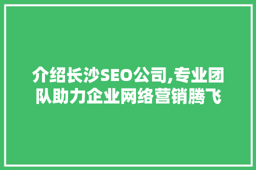 介绍长沙SEO公司,专业团队助力企业网络营销腾飞