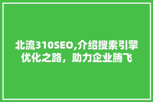 北流310SEO,介绍搜索引擎优化之路，助力企业腾飞