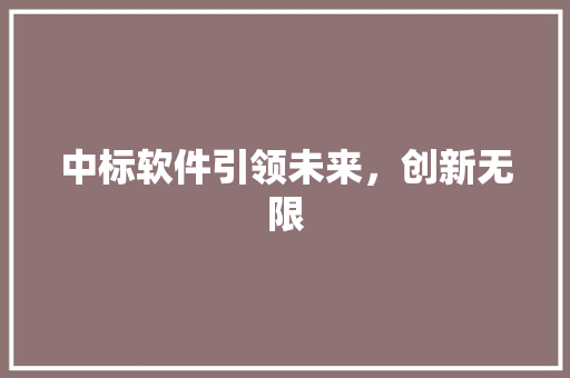 中标软件引领未来，创新无限