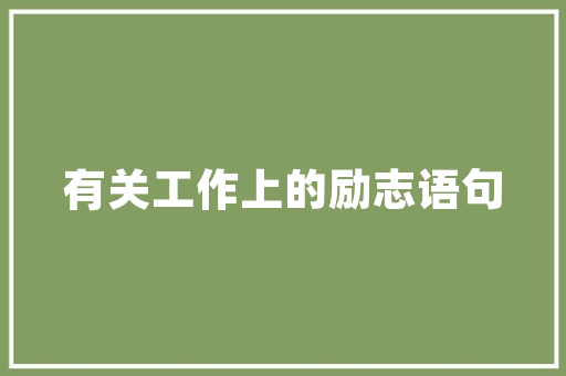 南坪SEO领域翘楚,介绍哪家SEO公司独领风骚