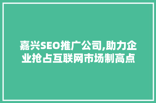 嘉兴SEO推广公司,助力企业抢占互联网市场制高点