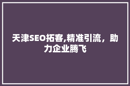 天津SEO拓客,精准引流，助力企业腾飞