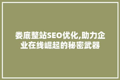 娄底整站SEO优化,助力企业在线崛起的秘密武器