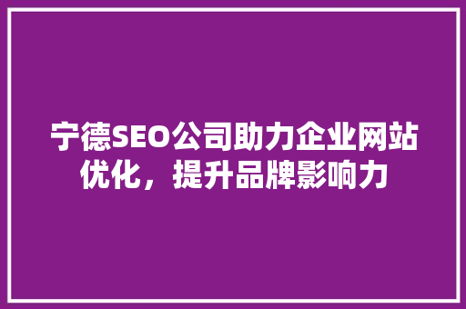 宁德SEO公司助力企业网站优化，提升品牌影响力