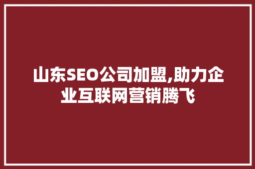 山东SEO公司加盟,助力企业互联网营销腾飞