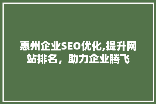 惠州企业SEO优化,提升网站排名，助力企业腾飞