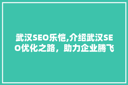 武汉SEO乐恺,介绍武汉SEO优化之路，助力企业腾飞