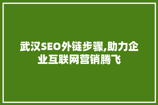 武汉SEO外链步骤,助力企业互联网营销腾飞