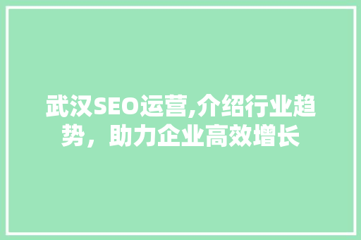武汉SEO运营,介绍行业趋势，助力企业高效增长