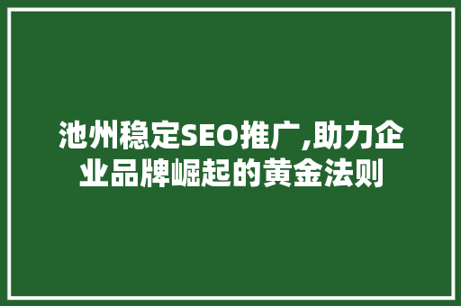 池州稳定SEO推广,助力企业品牌崛起的黄金法则