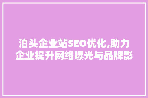 泊头企业站SEO优化,助力企业提升网络曝光与品牌影响力