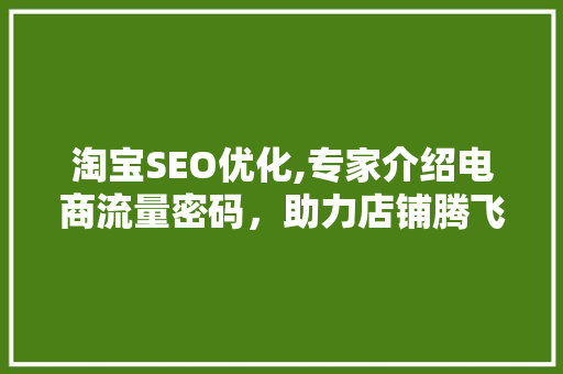 淘宝SEO优化,专家介绍电商流量密码，助力店铺腾飞