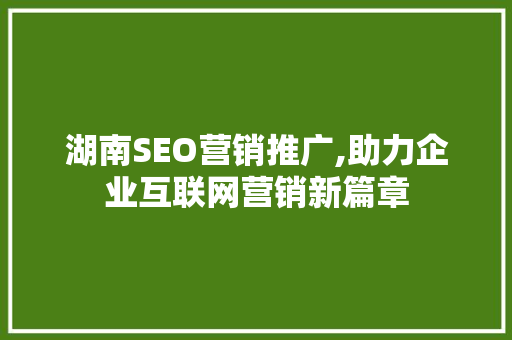 湖南SEO营销推广,助力企业互联网营销新篇章  第1张