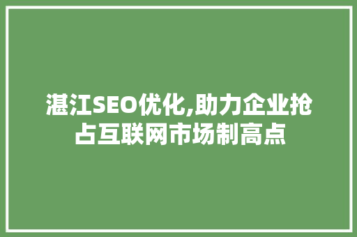 湛江SEO优化,助力企业抢占互联网市场制高点