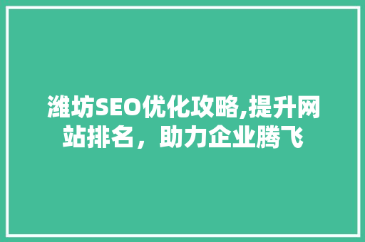 潍坊SEO优化攻略,提升网站排名，助力企业腾飞