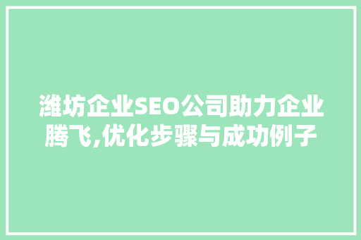 潍坊企业SEO公司助力企业腾飞,优化步骤与成功例子介绍