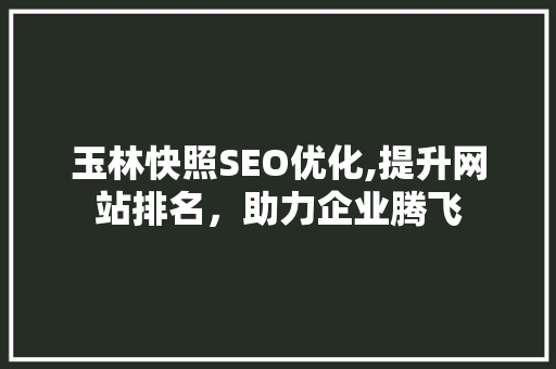 玉林快照SEO优化,提升网站排名，助力企业腾飞