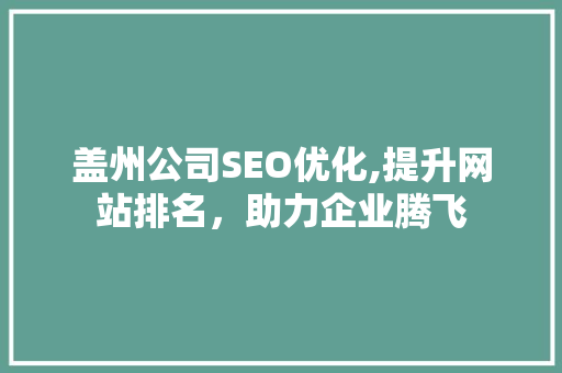 盖州公司SEO优化,提升网站排名，助力企业腾飞
