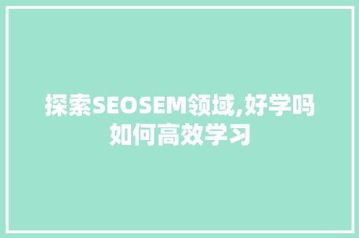 探索SEOSEM领域,好学吗如何高效学习