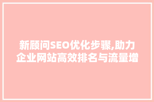新顾问SEO优化步骤,助力企业网站高效排名与流量增长