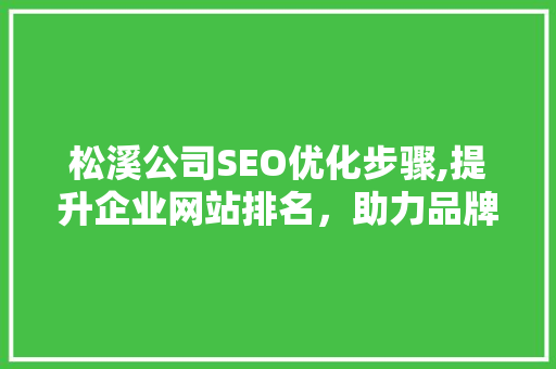 松溪公司SEO优化步骤,提升企业网站排名，助力品牌腾飞
