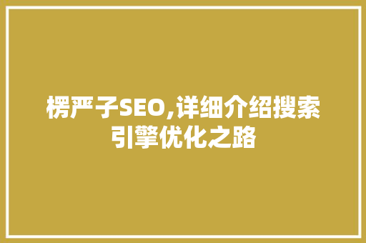 楞严子SEO,详细介绍搜索引擎优化之路
