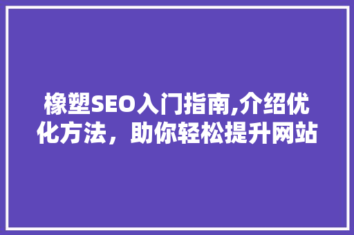 橡塑SEO入门指南,介绍优化方法，助你轻松提升网站排名