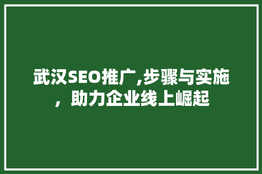 武汉SEO推广,步骤与实施，助力企业线上崛起