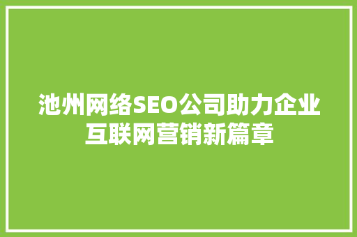 池州网络SEO公司助力企业互联网营销新篇章