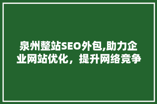 泉州整站SEO外包,助力企业网站优化，提升网络竞争力