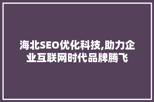 海北SEO优化科技,助力企业互联网时代品牌腾飞
