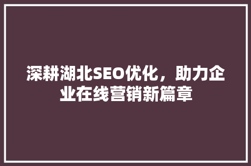 深耕湖北SEO优化，助力企业在线营销新篇章