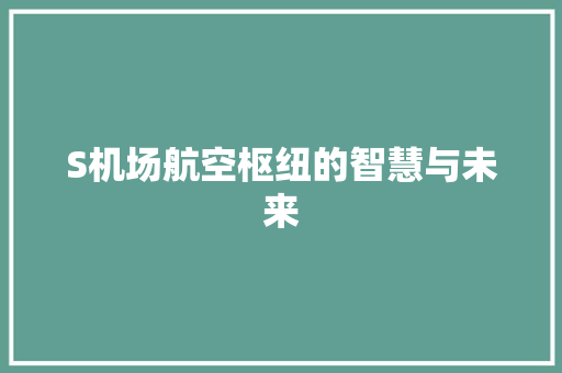 S机场航空枢纽的智慧与未来