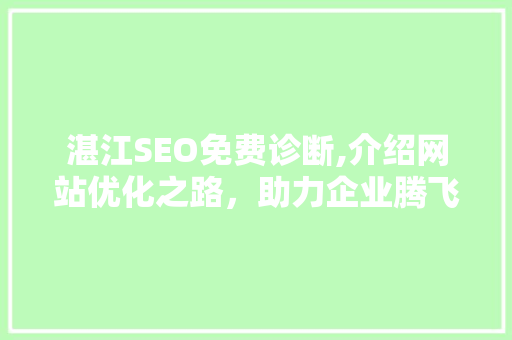 湛江SEO免费诊断,介绍网站优化之路，助力企业腾飞
