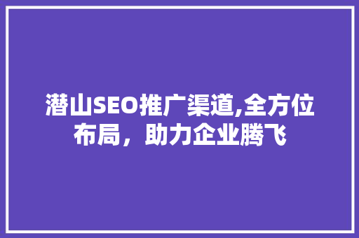 潜山SEO推广渠道,全方位布局，助力企业腾飞