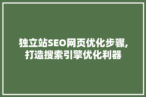 独立站SEO网页优化步骤,打造搜索引擎优化利器