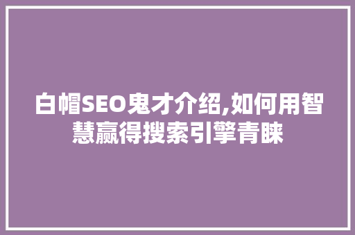 白帽SEO鬼才介绍,如何用智慧赢得搜索引擎青睐
