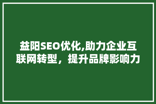 益阳SEO优化,助力企业互联网转型，提升品牌影响力