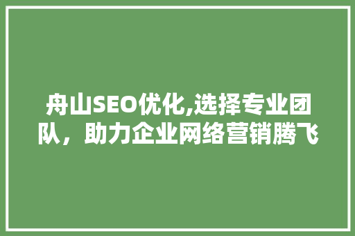 舟山SEO优化,选择专业团队，助力企业网络营销腾飞