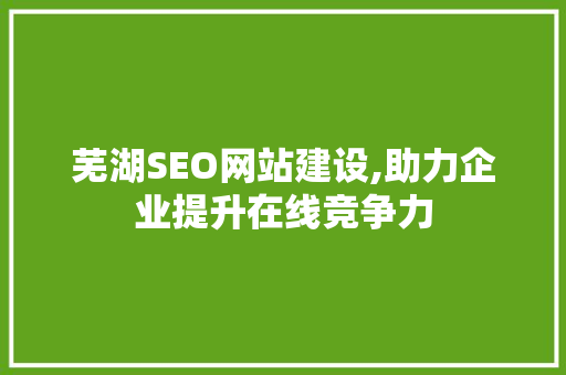 芜湖SEO网站建设,助力企业提升在线竞争力
