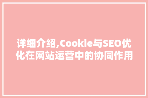 详细介绍,Cookie与SEO优化在网站运营中的协同作用