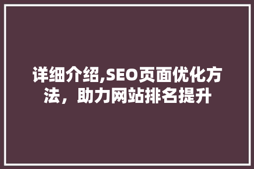 详细介绍,SEO页面优化方法，助力网站排名提升