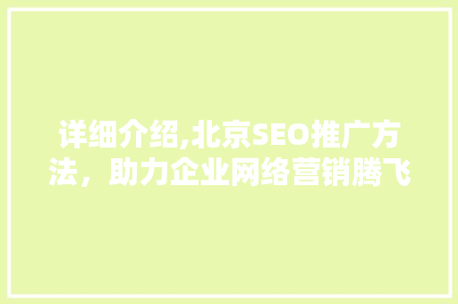 详细介绍,北京SEO推广方法，助力企业网络营销腾飞