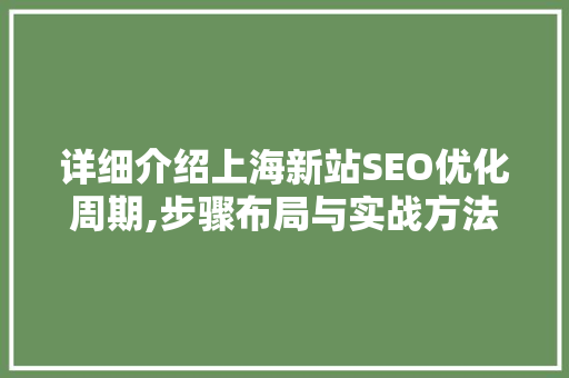 详细介绍上海新站SEO优化周期,步骤布局与实战方法