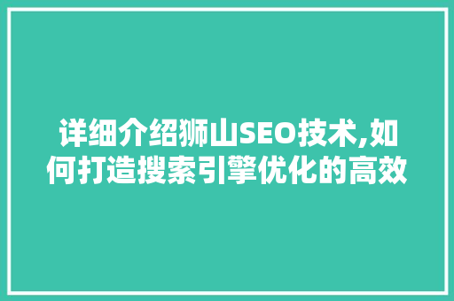 详细介绍狮山SEO技术,如何打造搜索引擎优化的高效步骤