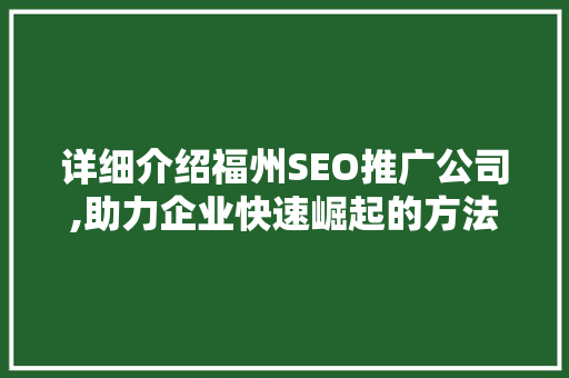 详细介绍福州SEO推广公司,助力企业快速崛起的方法