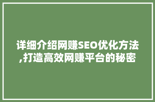 详细介绍网赚SEO优化方法,打造高效网赚平台的秘密武器