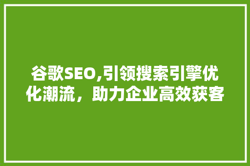 谷歌SEO,引领搜索引擎优化潮流，助力企业高效获客