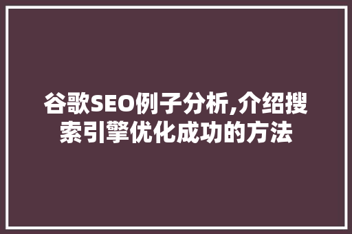 谷歌SEO例子分析,介绍搜索引擎优化成功的方法